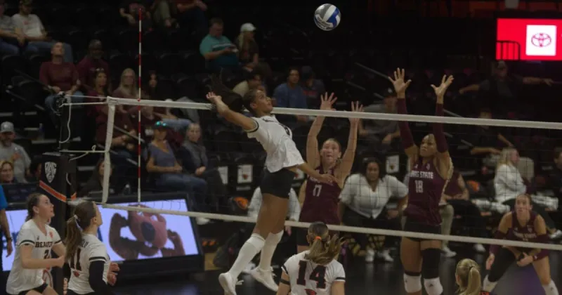Oregon State volleyball remains perfect on its home floor