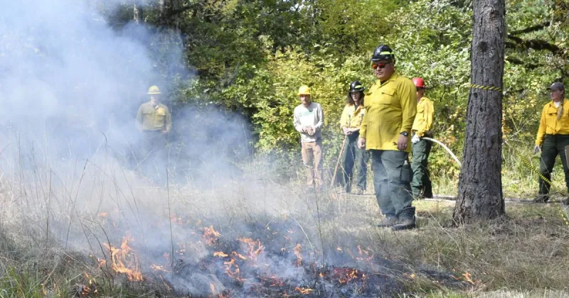 Fires once shaped this Corvallis meadow. Crews are bringing it back.