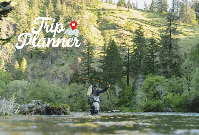 Roseburg Trip Planner: 3 Days in the Umpqua Valley