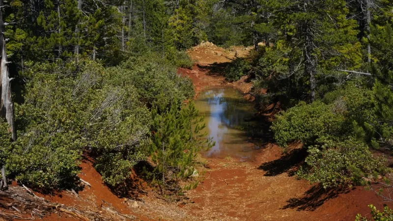 A proposed nickel mine near Gold Beach has a buyer, but years of studies remain