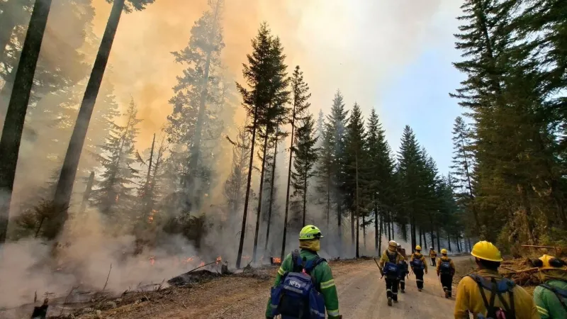 New bill looks to expand line-of-duty death benefits for wildland firefighters families