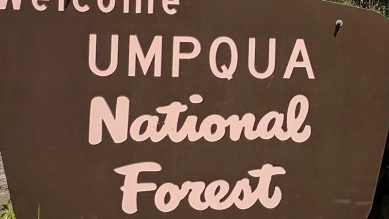 Umpqua National Forest lifts Castle Fire closure, reopens Lakes, Fish Lake trailheads
