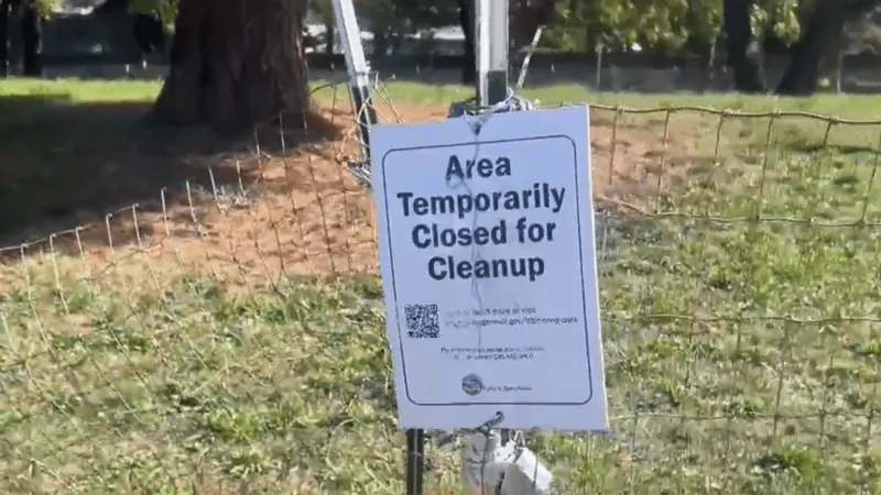 Hybrid soil cleanup plan for Trainsong Park heads to 30-day public comment period
