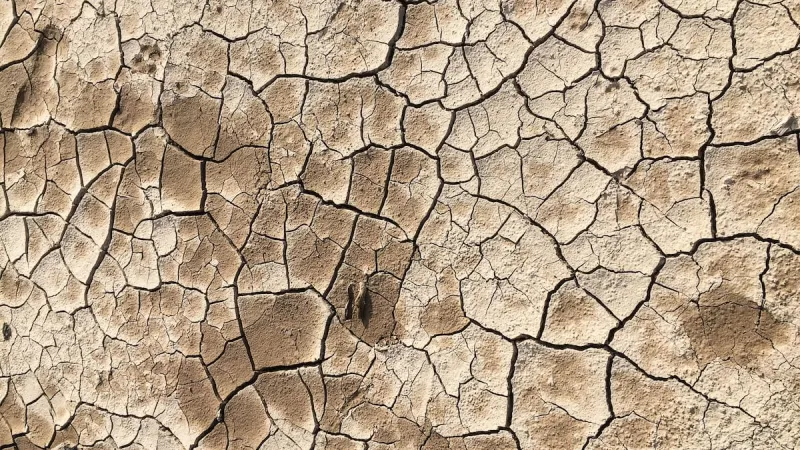 Oregon's drought eases slightly, but forecast conditions could mean the problem persists or worsens
