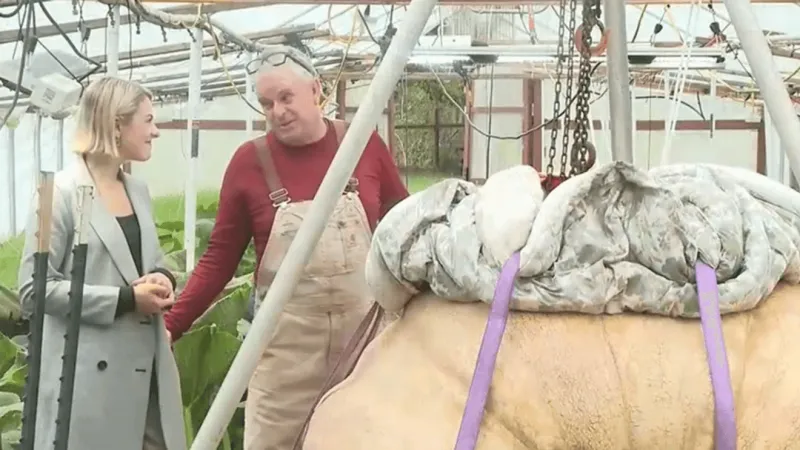 Eugene man sets personal record as 2,307-pound pumpkin wins Washington weigh-off top prize