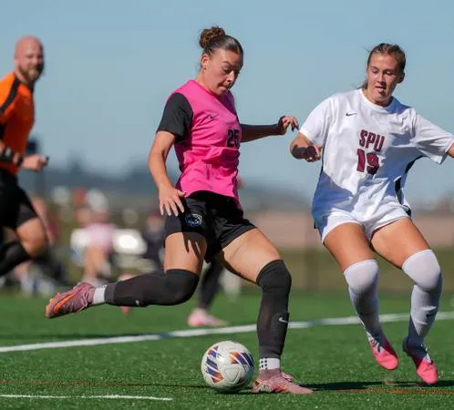 Wolves Battle Falcons Close, Ultimately Fall, 3-1