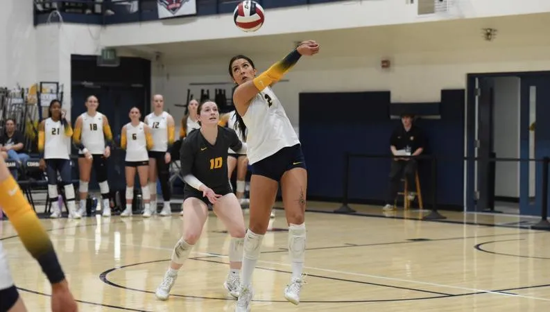 Midweek Sweep Clinched by No. 5 Warriors in Dominant Rout of Knights