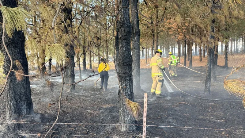 Unattended burn pile sparks 1.5-acre fire near Lebanon