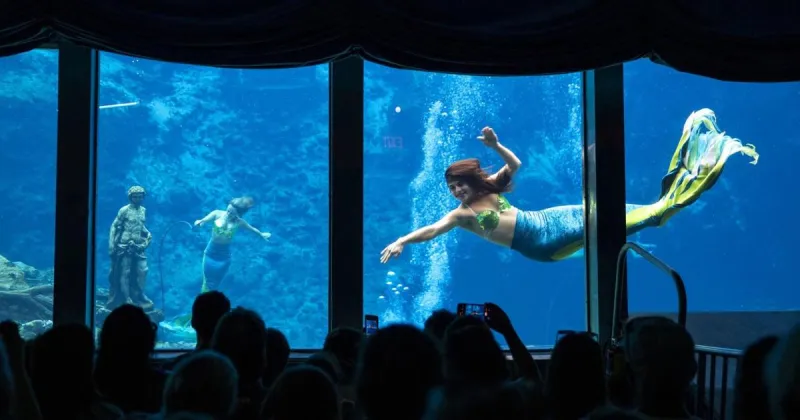 6 springs in 2 days: A Florida road trip reveals the state's freshwater treasures