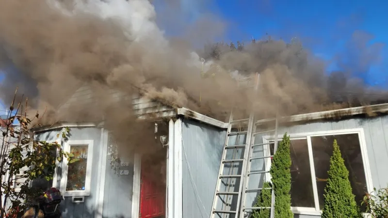 Dog dies in 2-alarm house fire in Lebanon; cause under investigation