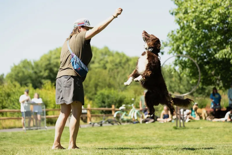 Oh, Paw-lease: The Doggolympics Might Be the Cutest Thing You Do This Year