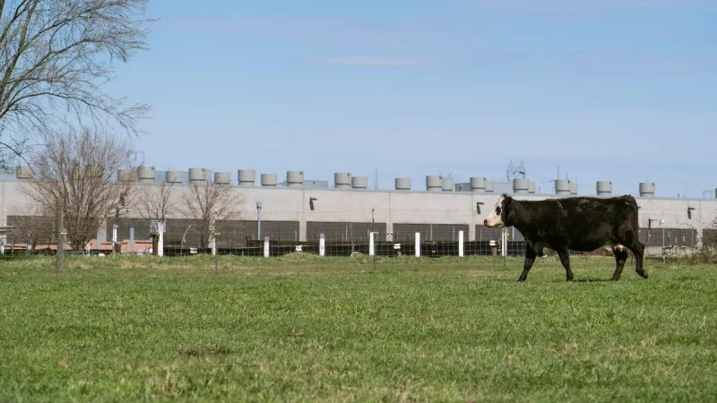 Amazon, data centers and the race for Oregon governor