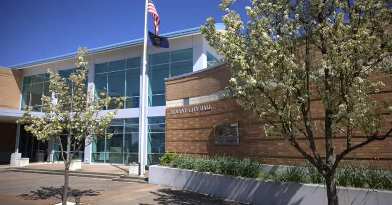 Albany election guide: Candidates, issues at the ballot box