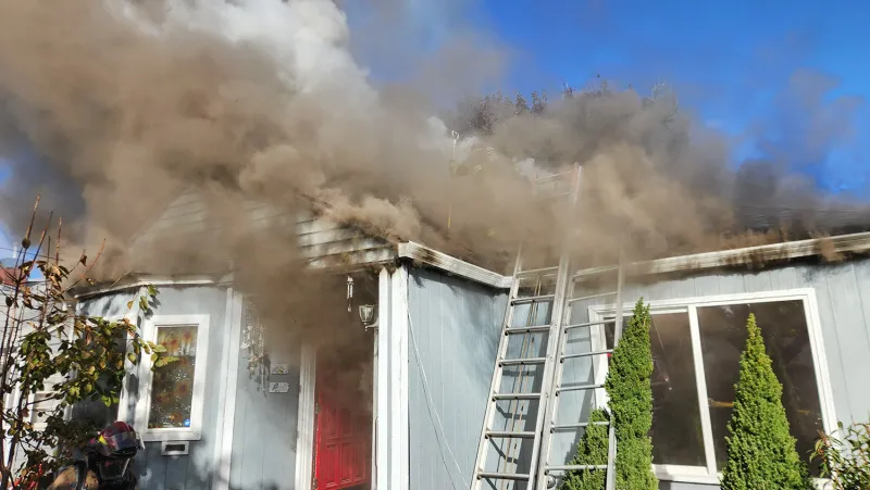 Dog lost to house fire in Lebanon