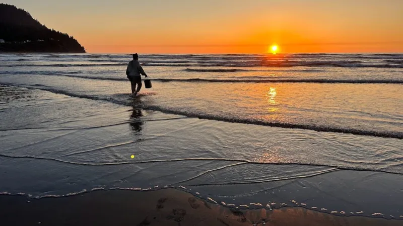 Mining seawater? Northwest researchers see a motherlode of critical minerals in the waves