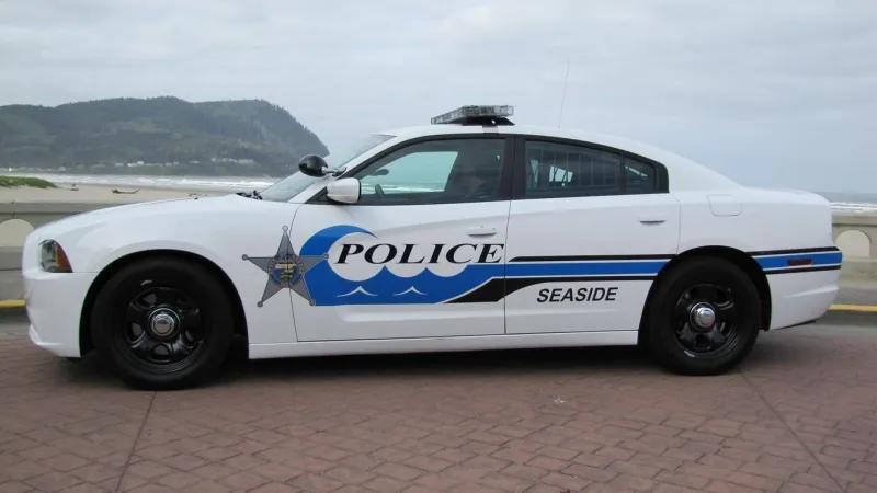 Seaside Police find hit-and-run driver who struck, killed dog on Monday