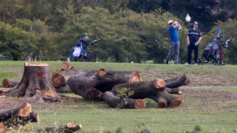 A judge blocks the government's tree-clearing spree at a municipal D.C. golf course