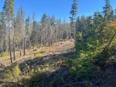 UNF/WILD TURKEY FOUNDATION COMPLETE HAZARD TREE WORK