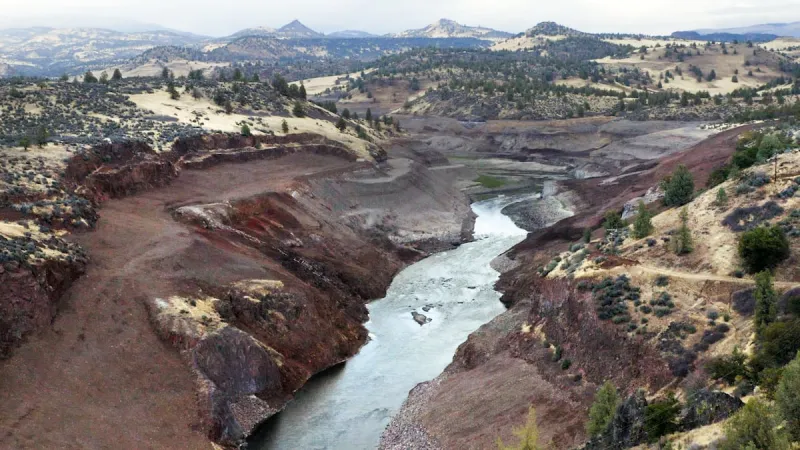 Salmon are returning to the Upper Klamath River after 100 years
