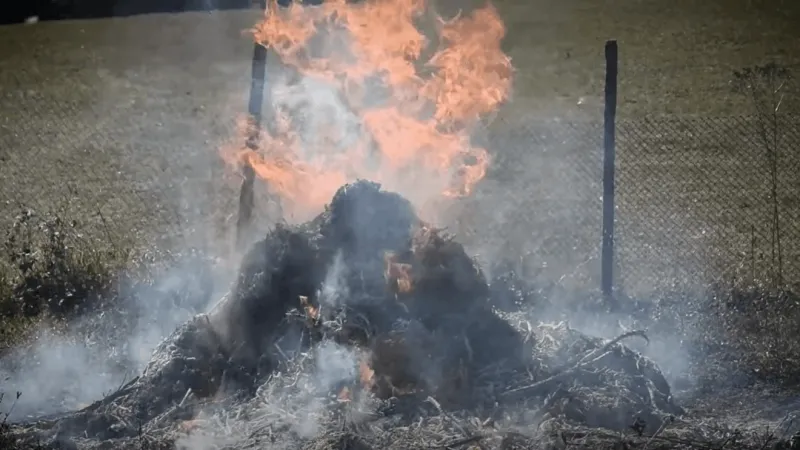 ODF, Lane Fire Defense Board and LRAPA set burn rules as fire season ends Friday