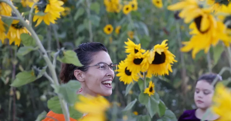 Scio farmer fights pollinator decline with flower power