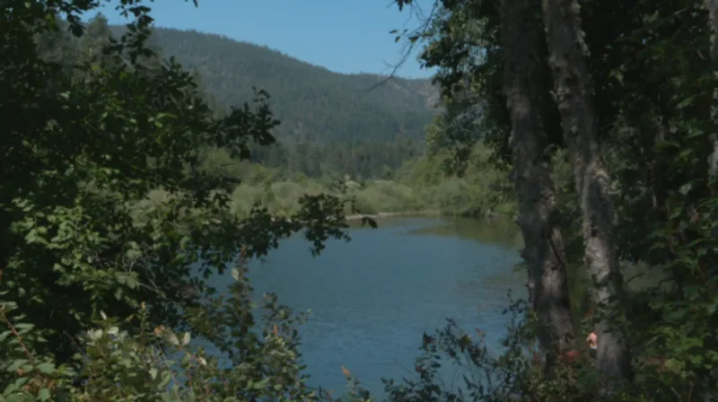 2-year-old boy drowns in Illinois River near Cave Junction, Oregon