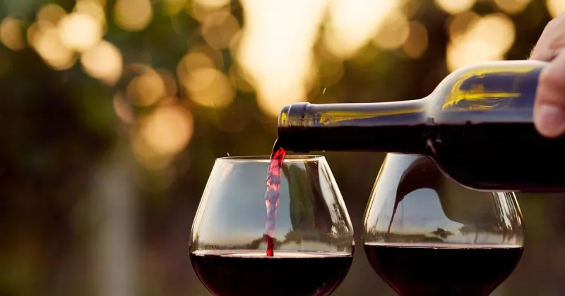 Sonoma winery to close tasting room as people drink less