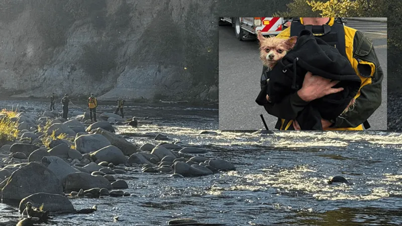 Kayaker, her small dog rescued from Clackamas River near Estacada