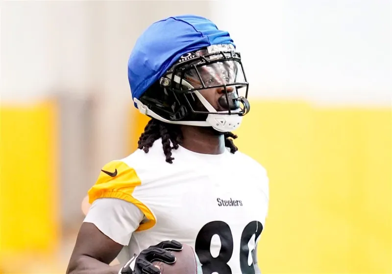 A different kind of catcher, the Steelers' Brandon Johnson didn't follow in his famous father's footsteps