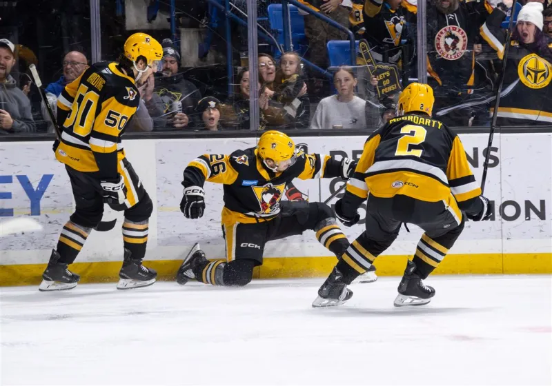 Top prospects push the Baby Penguins to their first AHL conference final since 2014