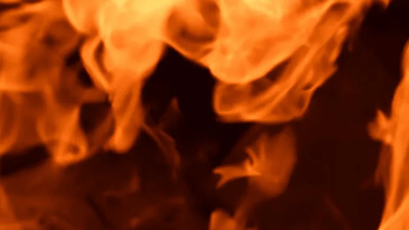 One man dead after early morning house fire in Wayne Co.