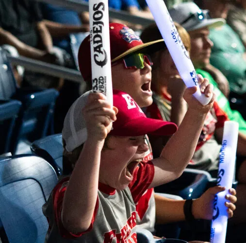 Nicolas Severini on baseball: MLB Draft League's international inclusion a success