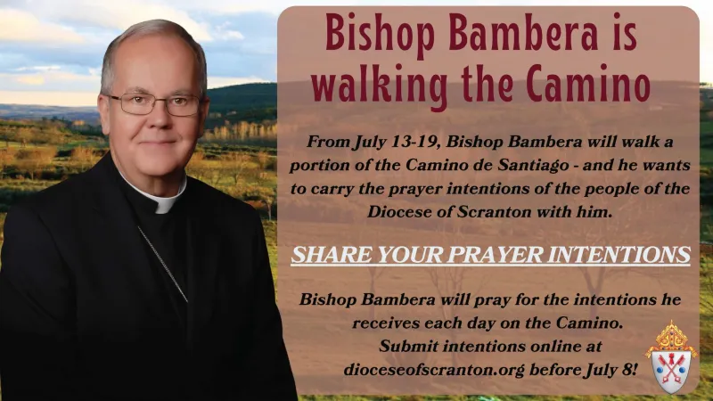 Bishop Bambera to carry Diocesan Prayer Intentions on upcoming Camino