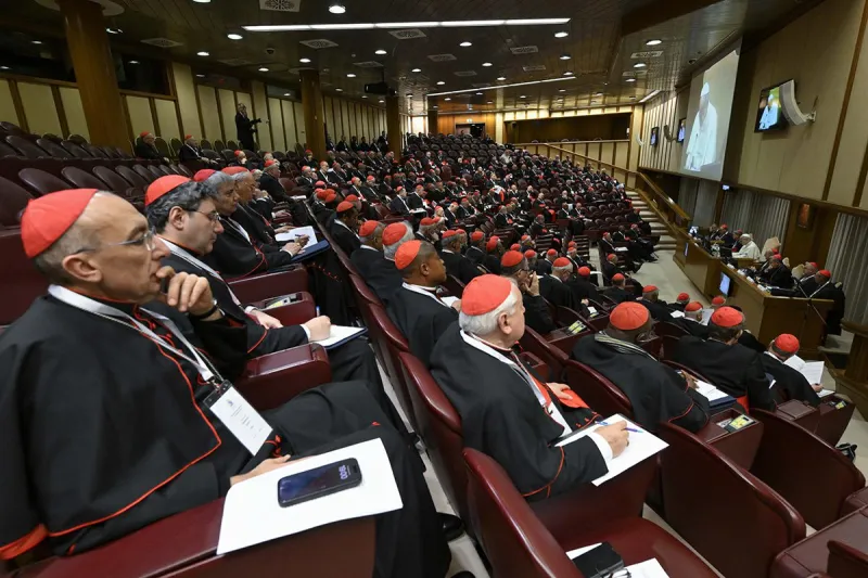 Extraordinary consistory signals pope's push for more collaboration on global challenges