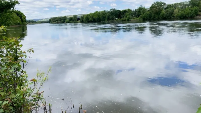 Retired Harrisburg firefighter helps rescue canoeist in Susquehanna River