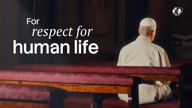 Pope Leo's July prayer intention: 'For respect for human life'