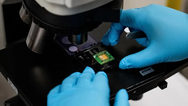 Quantum material opens new path for studying unusual electronic behavior