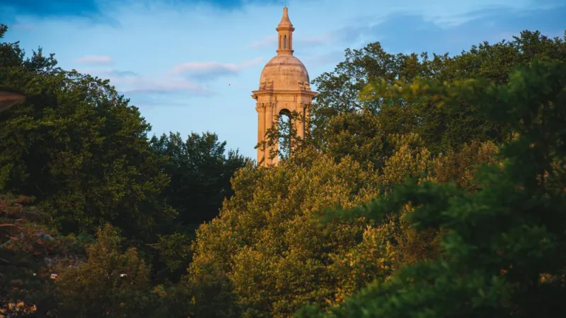 Discovery Grants awarded to 31 students for research support
