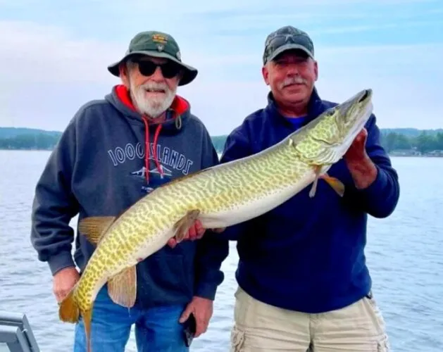 White perch challenge on Chautauqua Lake