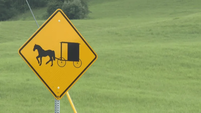 Proposed Bedford Township ordinance stirs Amish impact fears