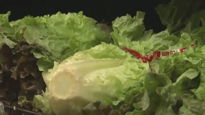 Penn State nutritionist shares safety tips as produce parasite cases increase nationwide