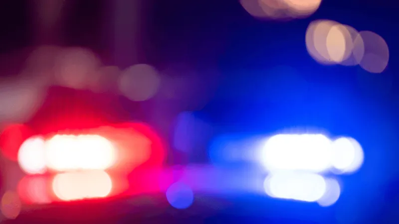 PD: Altoona man allegedly admits to dumping stray kittens in plastic bags outside Sheetz