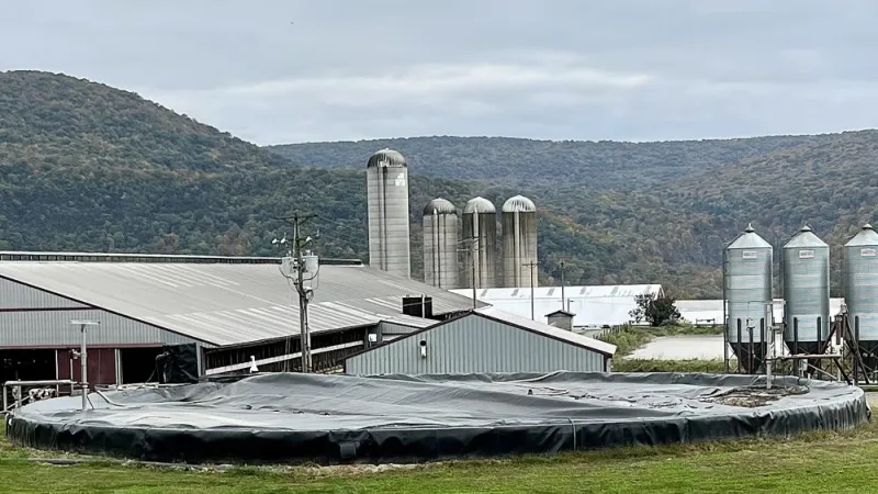 Q&A: Can a misunderstood tech benefit farmers' bottom lines and the environment?