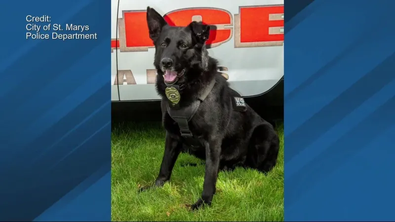 St. Marys Police Department and community mourn loss of retired K9