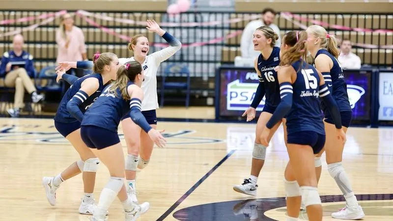 Volleyball Earns AVCA Team Academic Honors