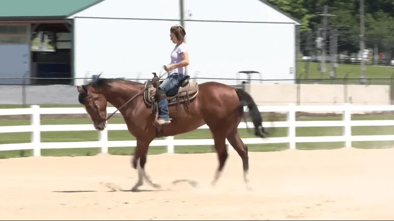 Grange Park AQHA Show brings three-day equine competition to Centre Hall this weekend