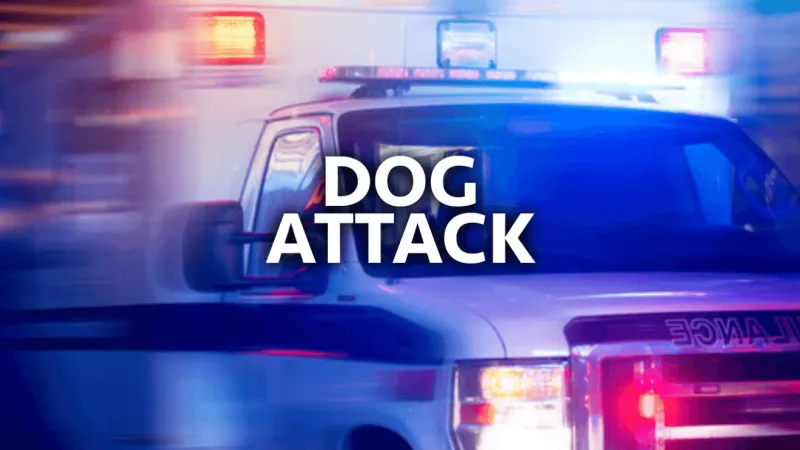 PD: Blair County dog owner jailed after dogs attack young girl outside Altoona home