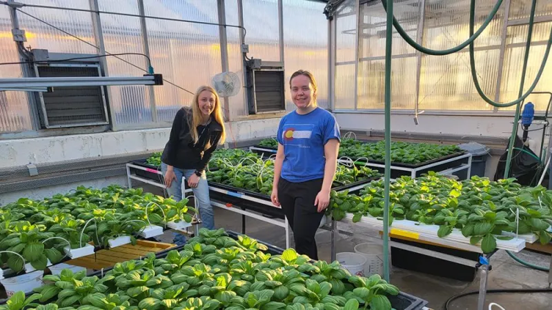 Soilless farming system design can determine microbial growth, impact on crops