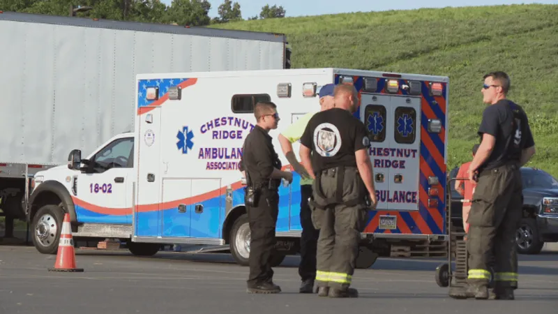 PSP: Horse and buggy involved in multi-vehicle crash in Bedford County