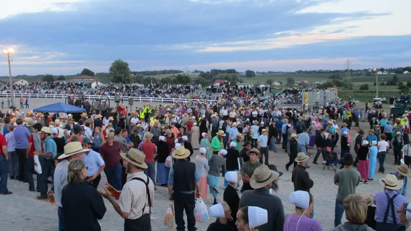 Q&A: Why is the Amish population growing so fast in America?